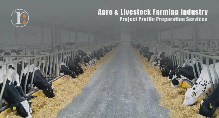 Agro and Livestock Farming Project Profile Preparation Services by Rimex International