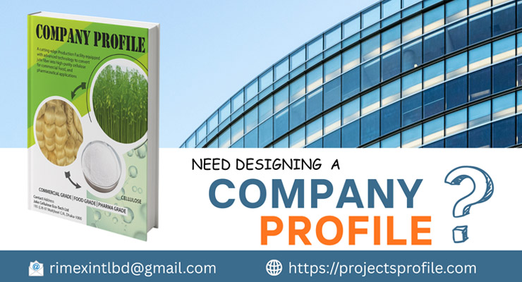 Professional Company Profile Designing Service for Corporate Business Presentation