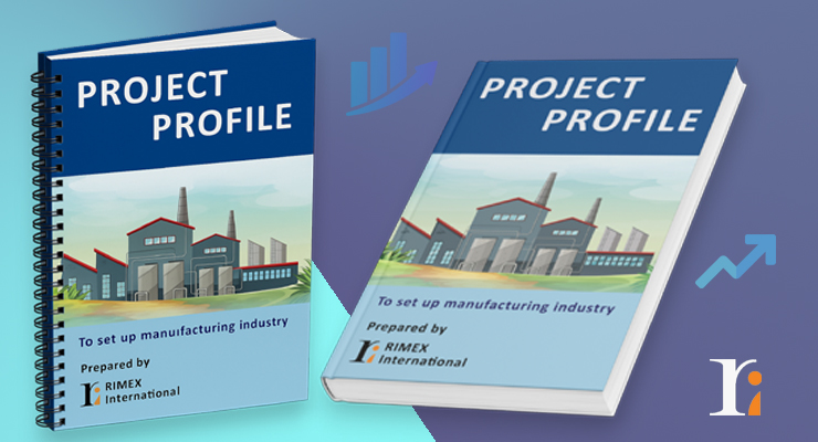 Project Profile Preparation Services
