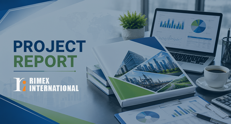 Project Report Preparation Services
