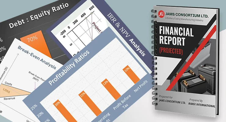 Consultant preparing a Financial Projection Report with cash flow, balance sheet and profit forecast.