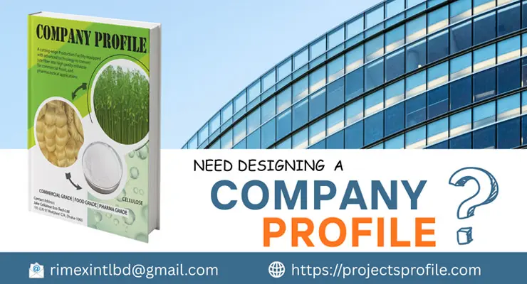 Professional Company Profile Designing Service for Corporate Business Presentation