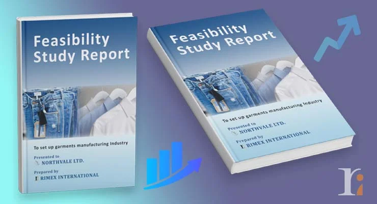 Feasibility Study Report Preparation Services by Rimex International