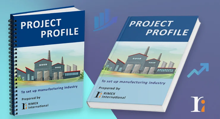 Project Profile Preparation Services by Rimex International