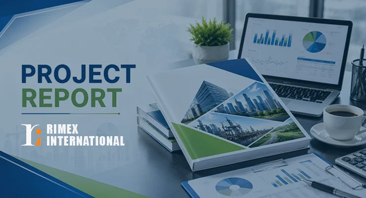Project Report Preparation Services by Rimex International
